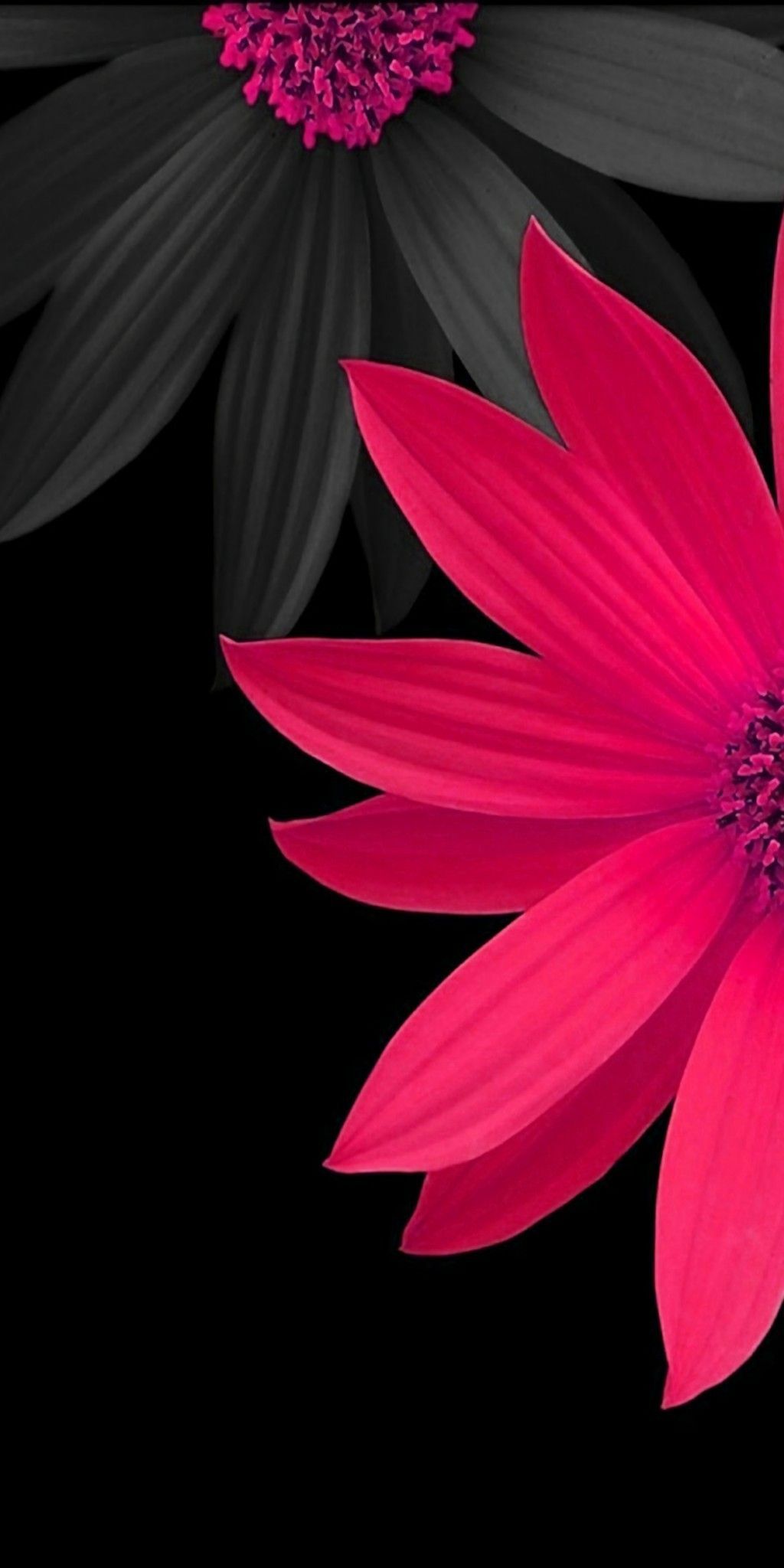 Cute 3D Flowers Wallpapers