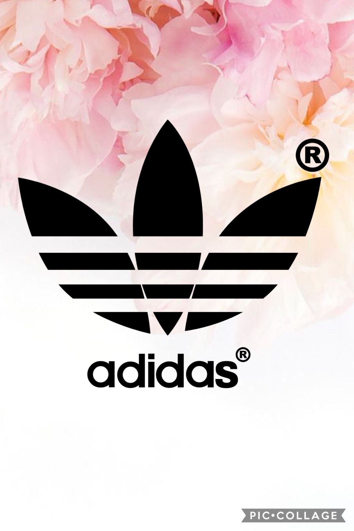 Cute Adidas LogoWallpapers