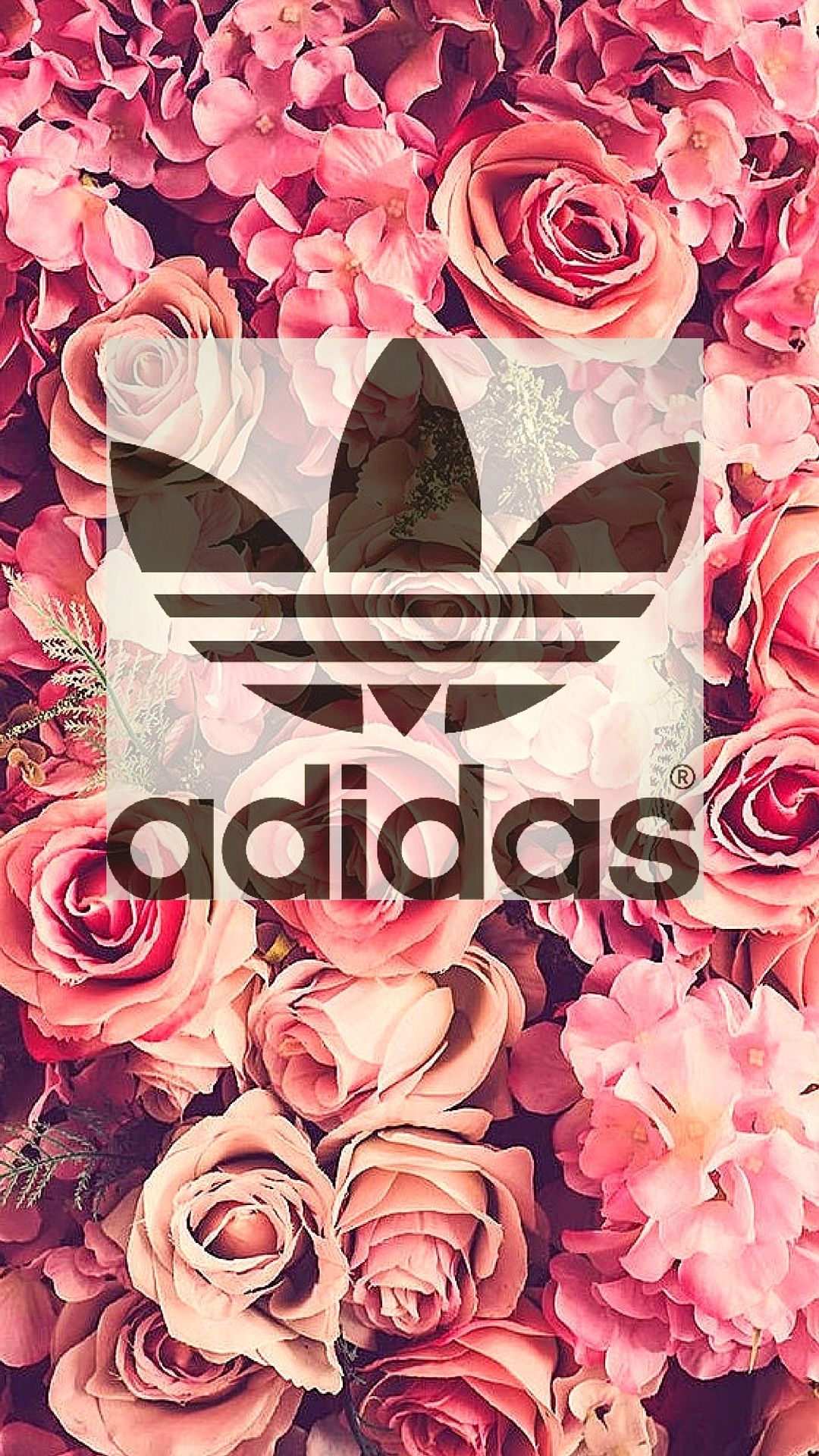 Cute Adidas LogoWallpapers