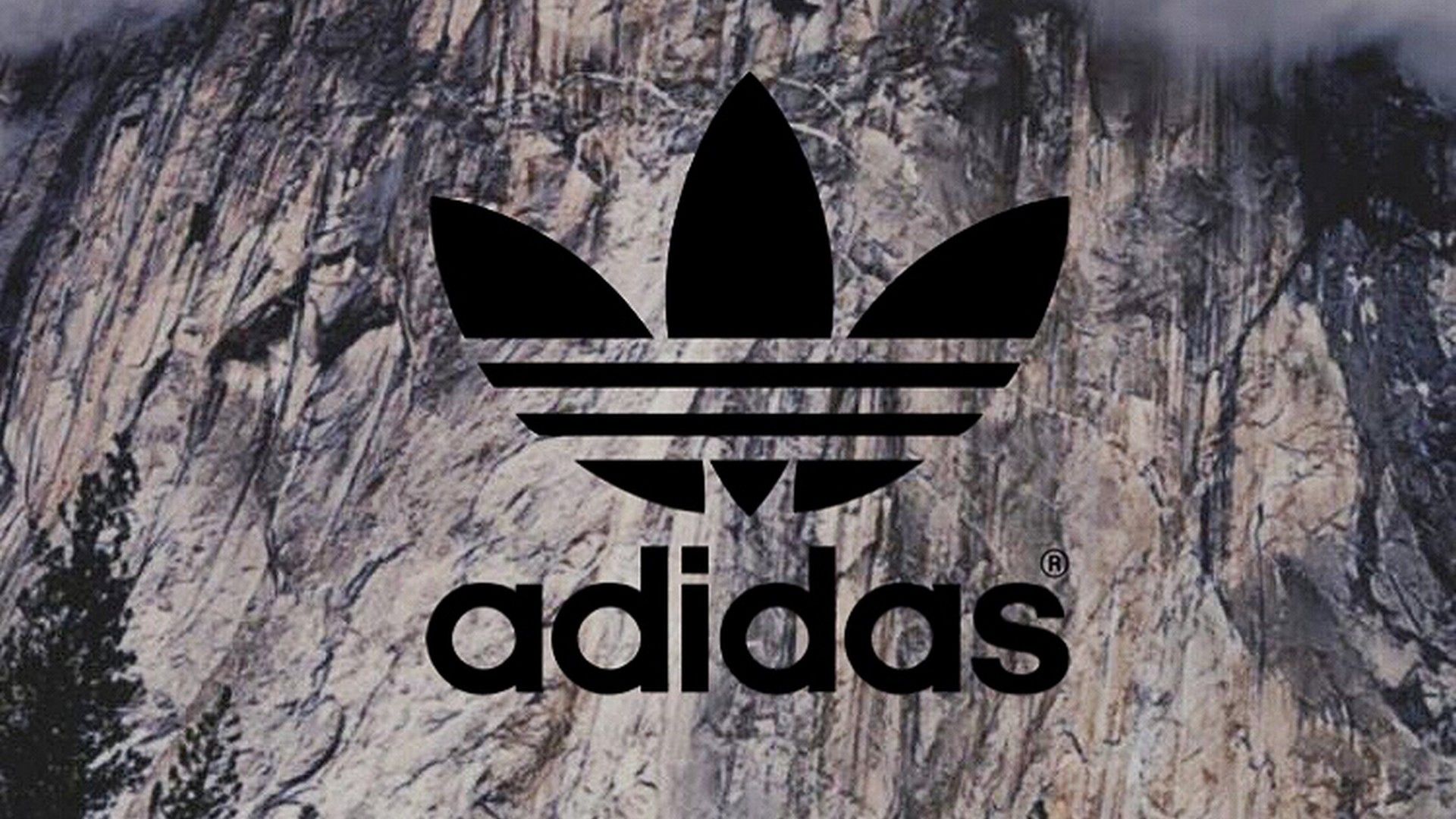 Cute Adidas LogoWallpapers