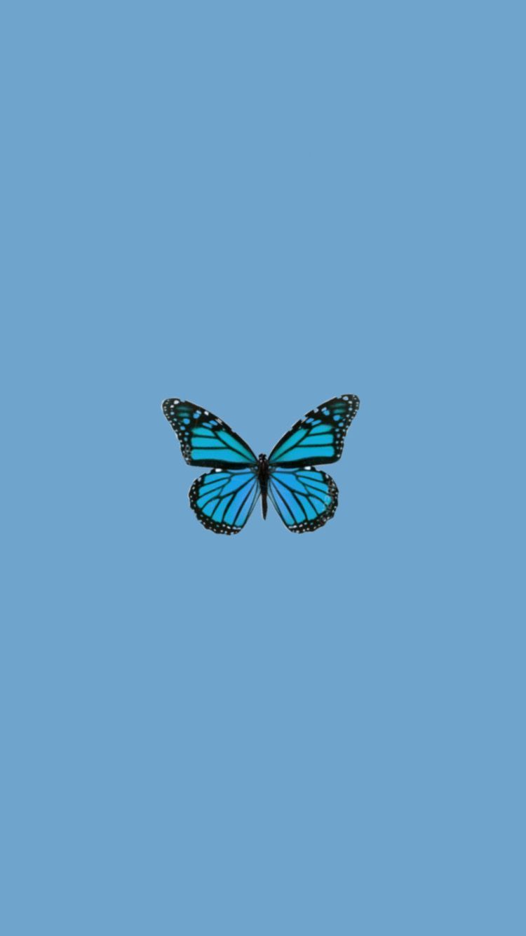 Cute Aesthetic ButterfliesWallpapers