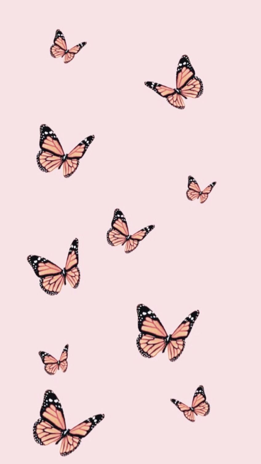 Cute Aesthetic ButterfliesWallpapers