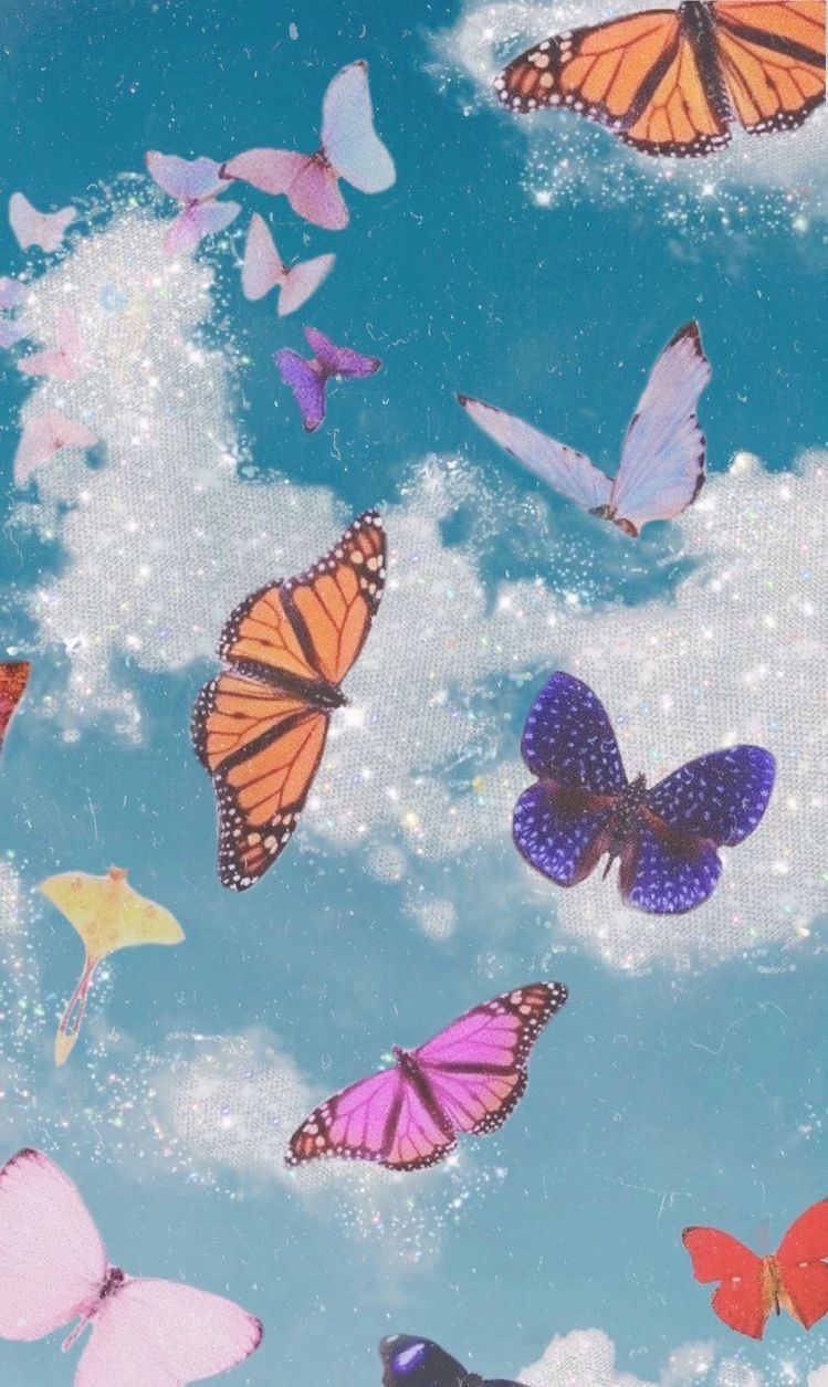 Cute Aesthetic ButterfliesWallpapers