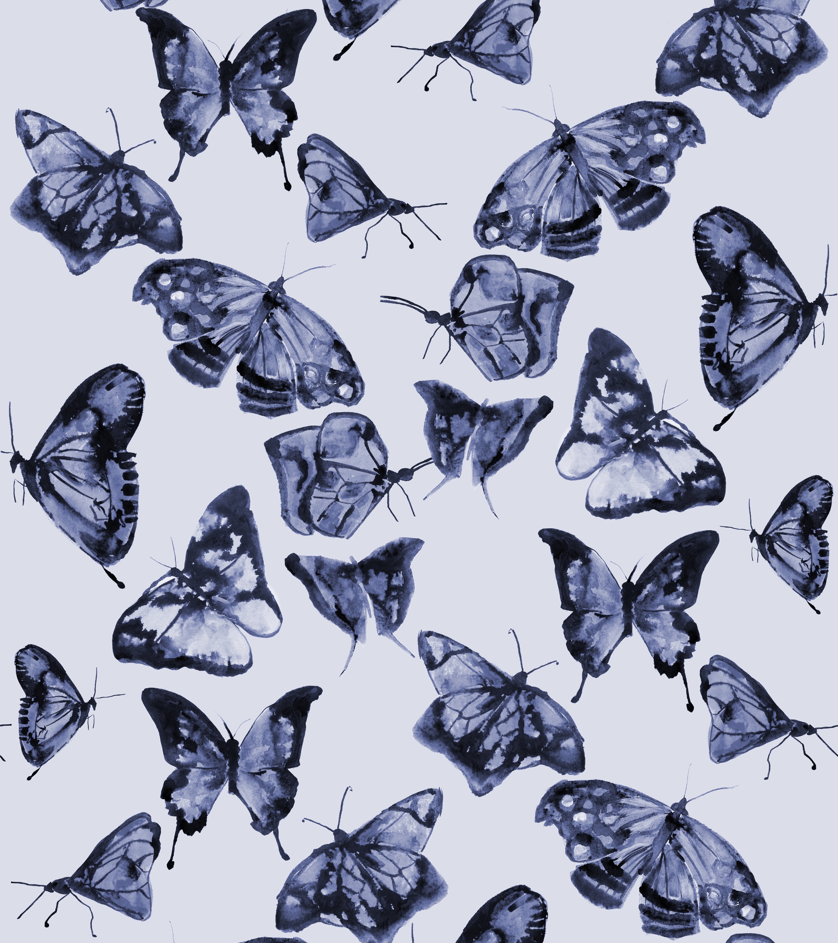 Cute Aesthetic ButterfliesWallpapers