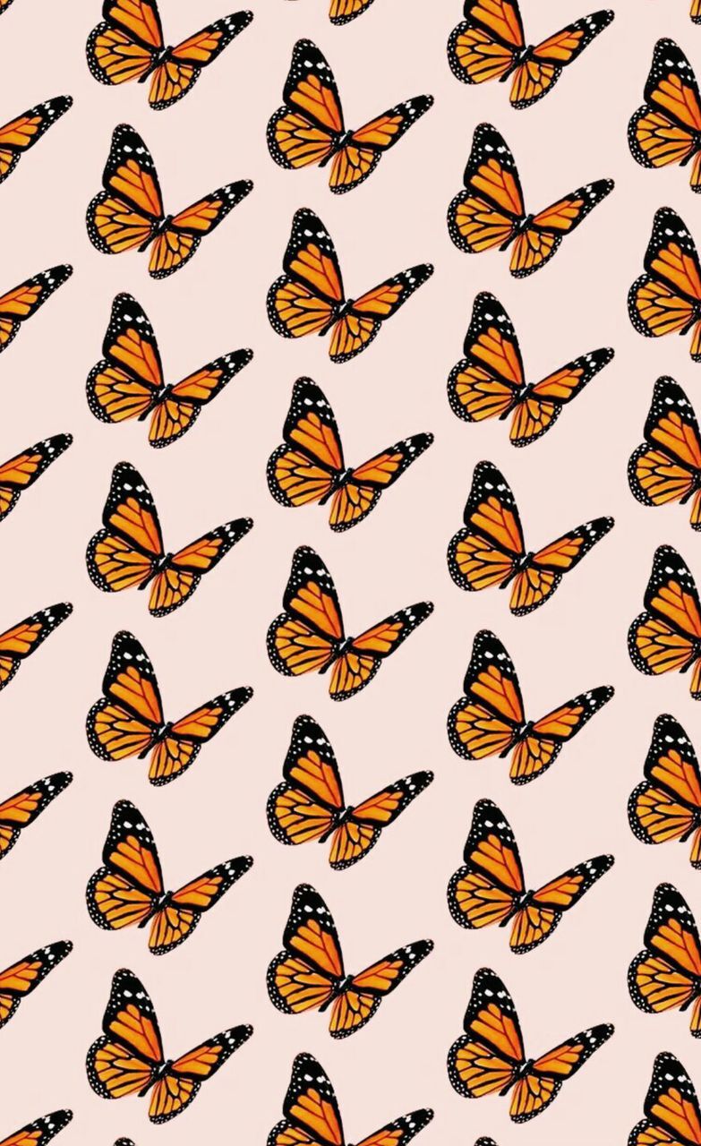 Cute Aesthetic ButterfliesWallpapers