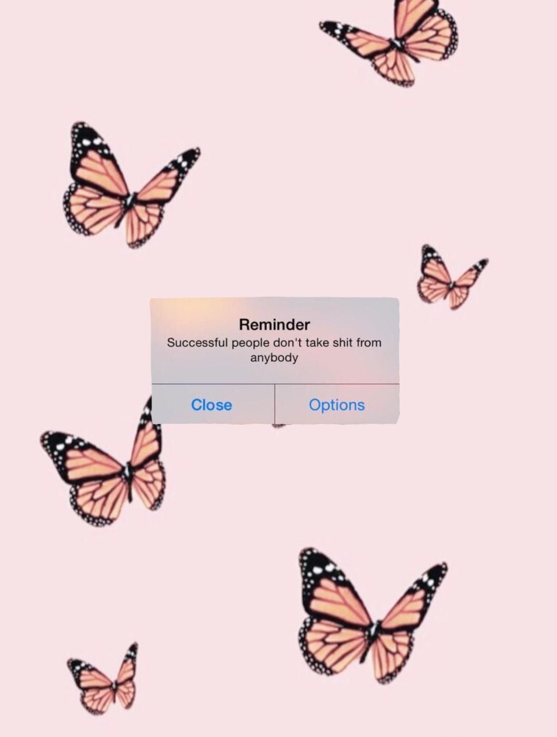 Cute Aesthetic ButterfliesWallpapers