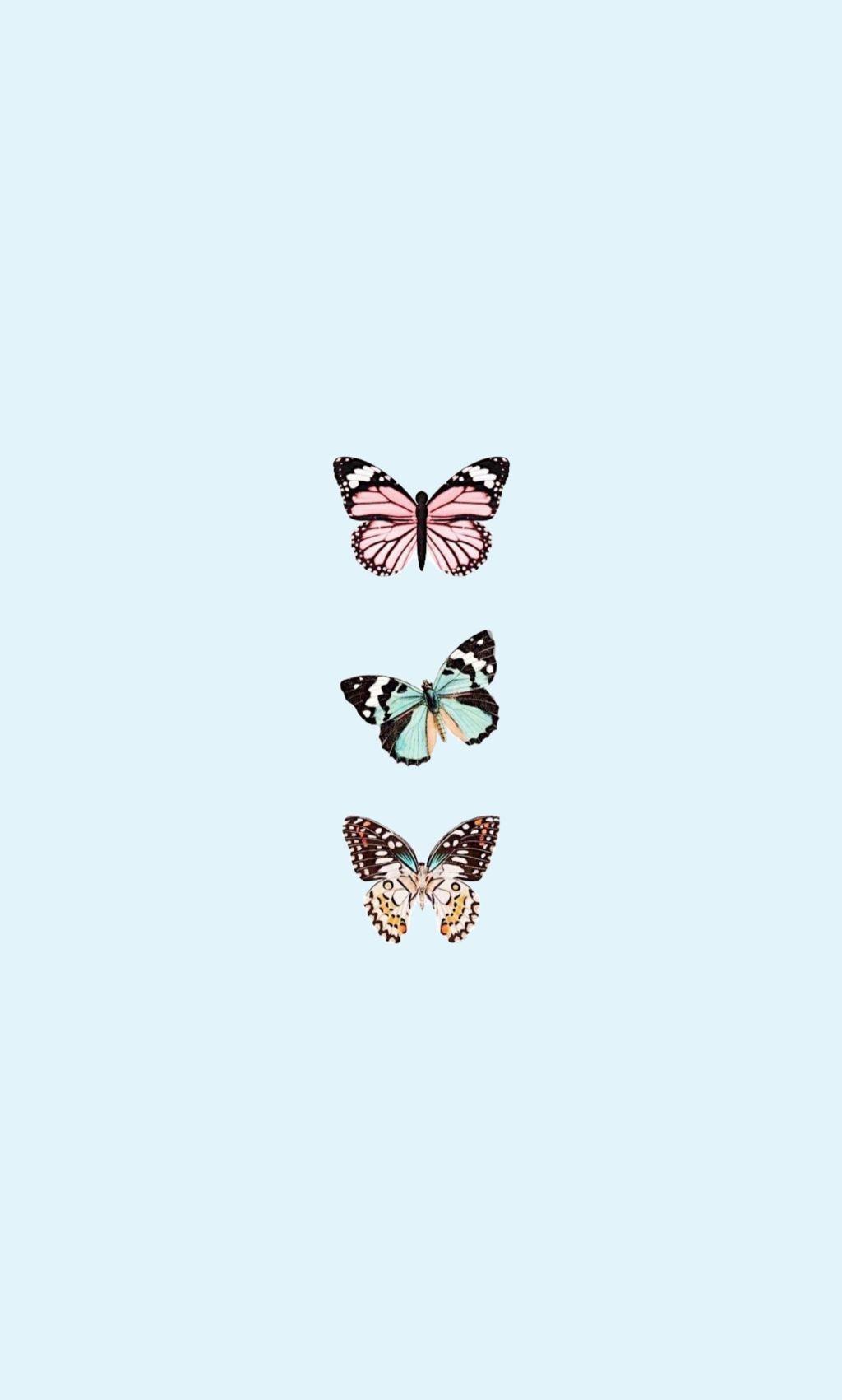 Cute Aesthetic ButterfliesWallpapers