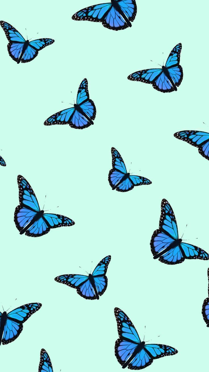 Cute Aesthetic ButterfliesWallpapers