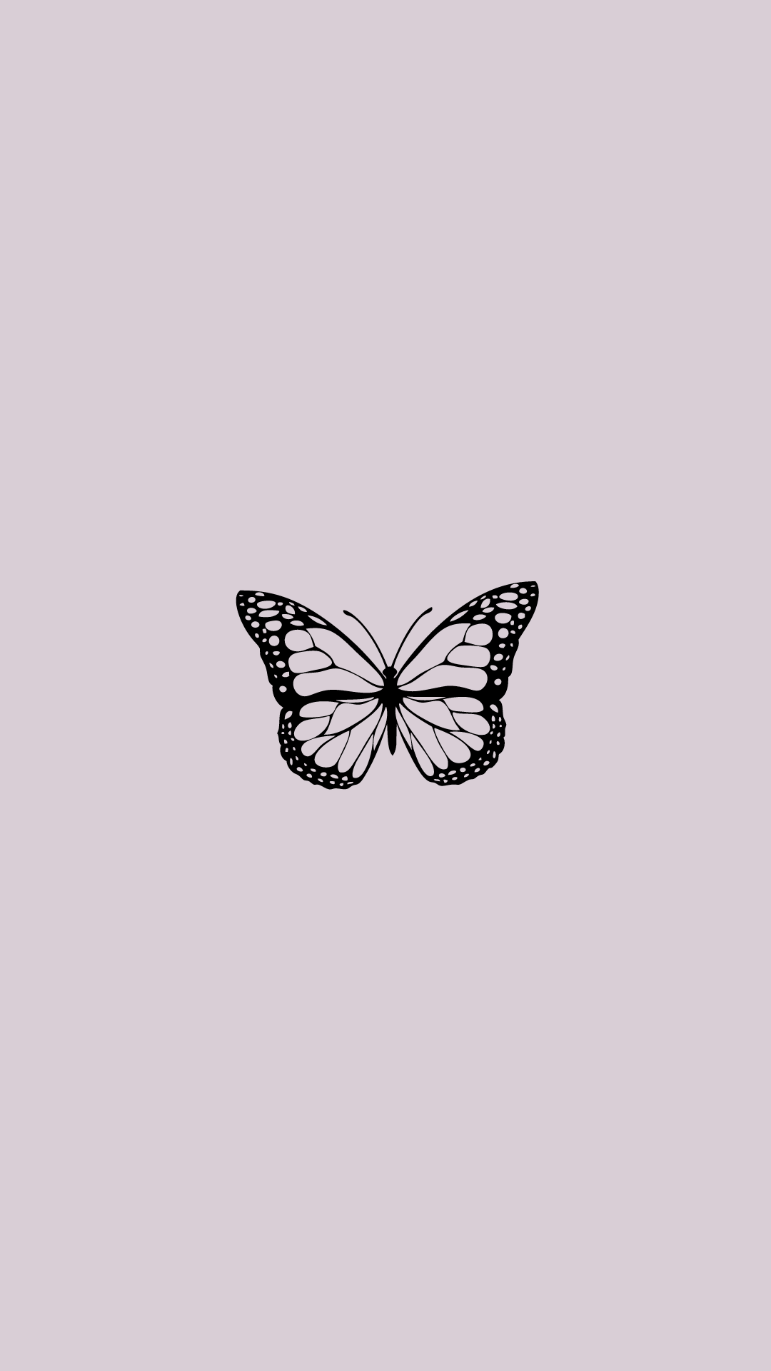 Cute Aesthetic ButterflyWallpapers