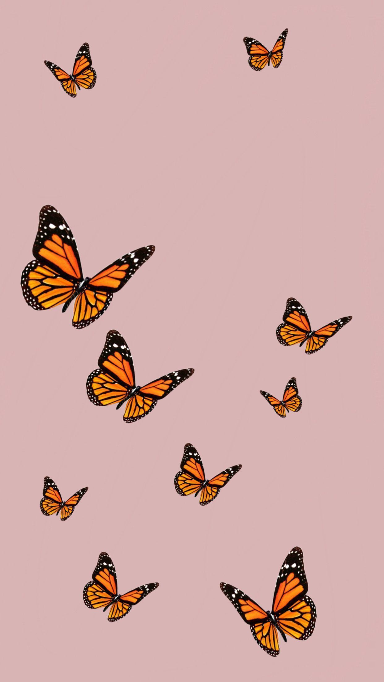 Cute Aesthetic ButterflyWallpapers