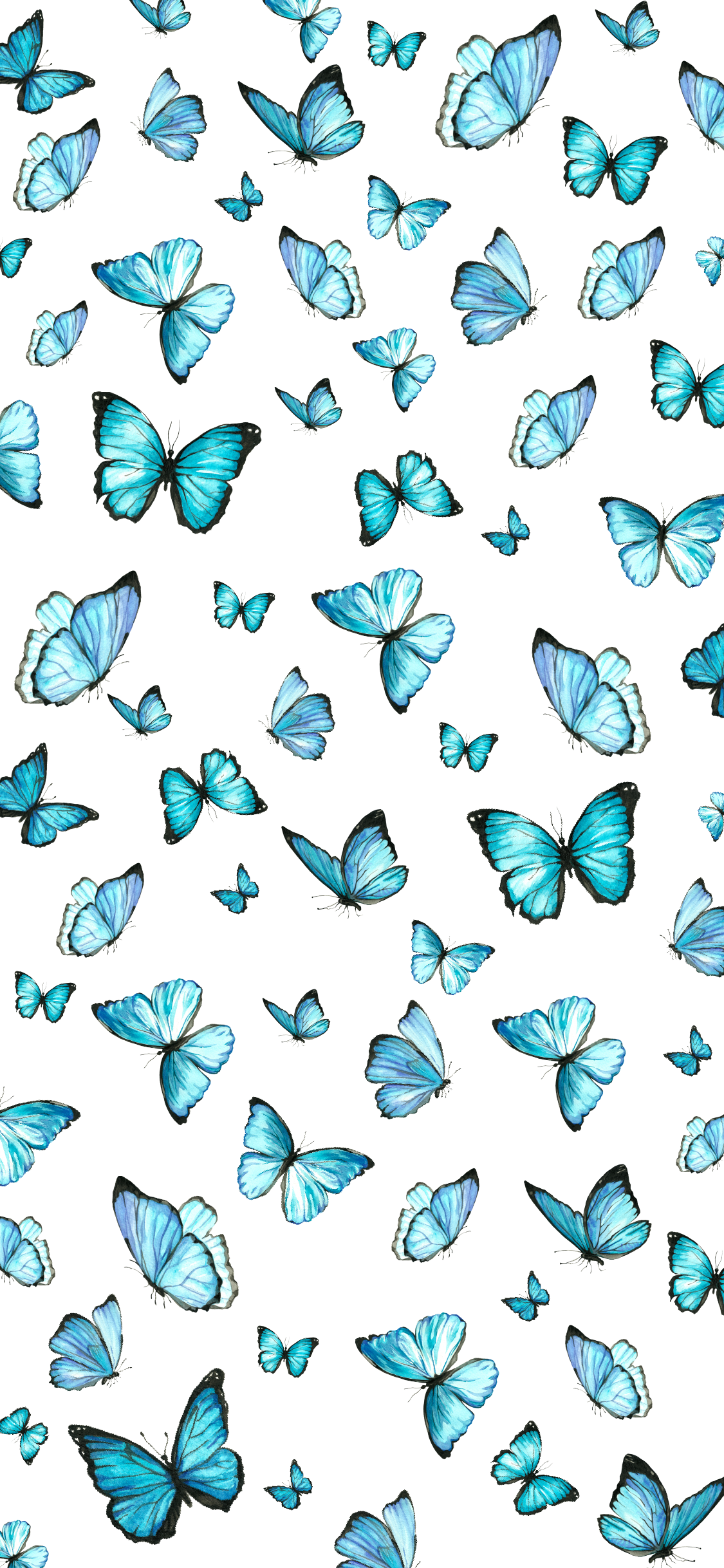 Cute Aesthetic ButterflyWallpapers