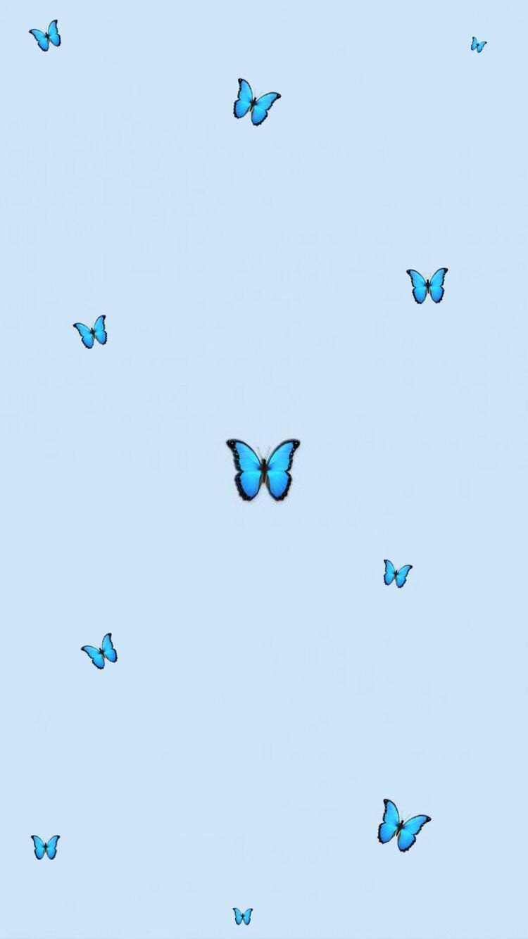 Cute Aesthetic ButterflyWallpapers