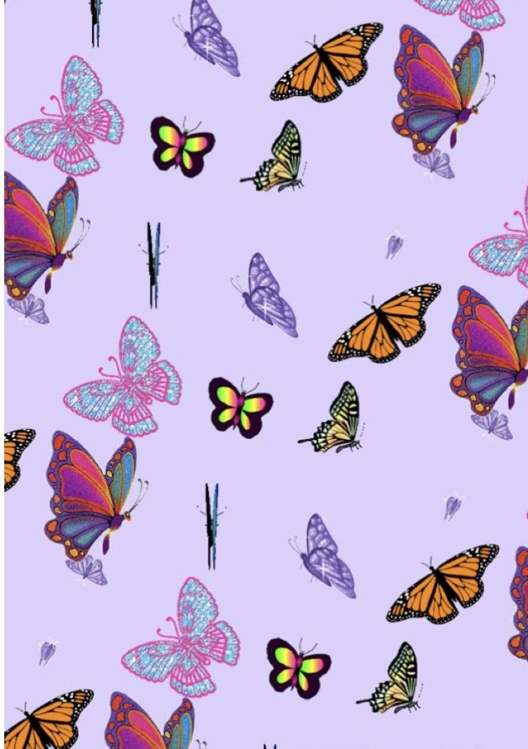 Cute Aesthetic ButterflyWallpapers