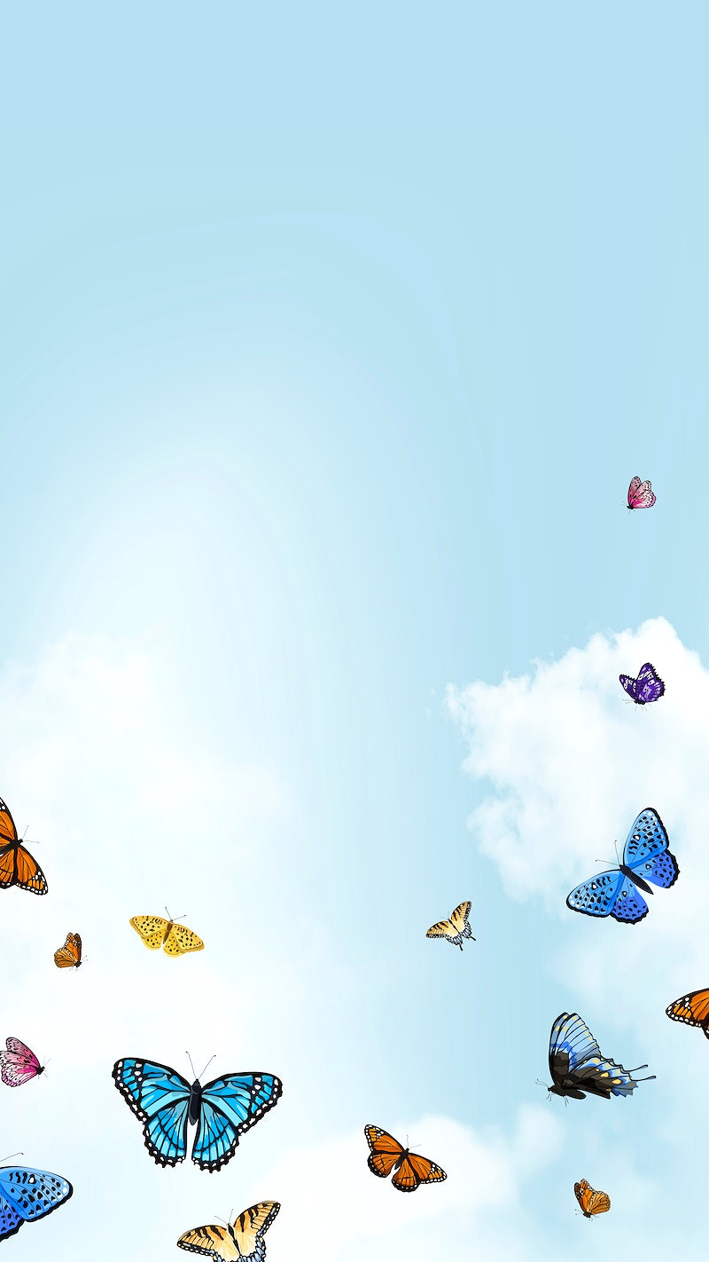 Cute Aesthetic ButterflyWallpapers