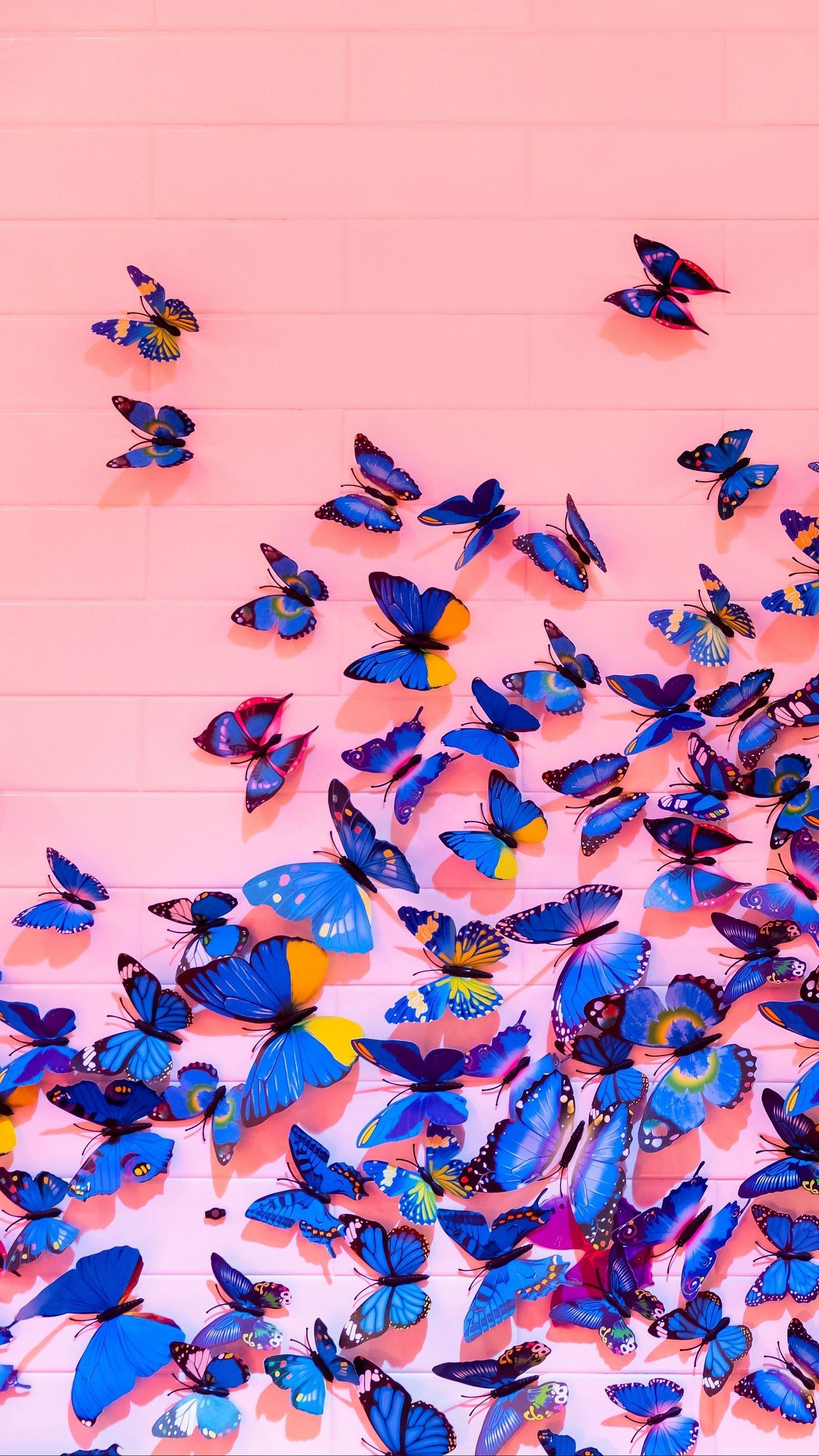 Cute Aesthetic ButterflyWallpapers