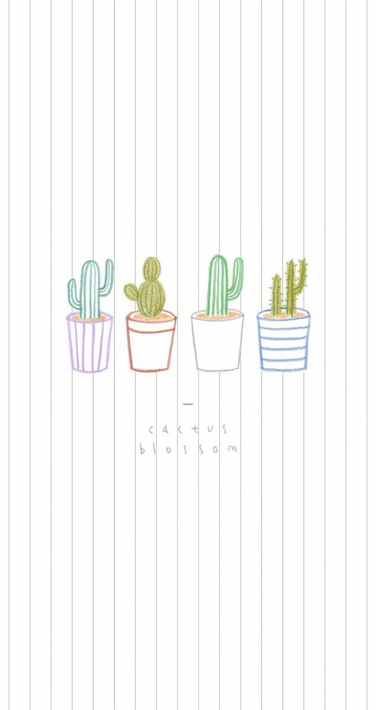 Cute Aesthetic CactusWallpapers