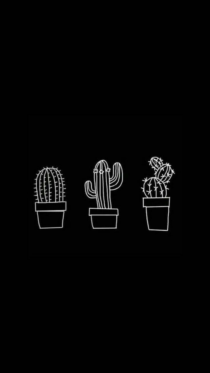 Cute Aesthetic CactusWallpapers