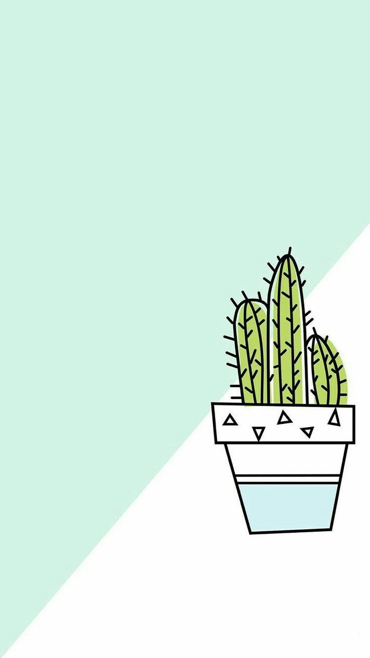 Cute Aesthetic CactusWallpapers