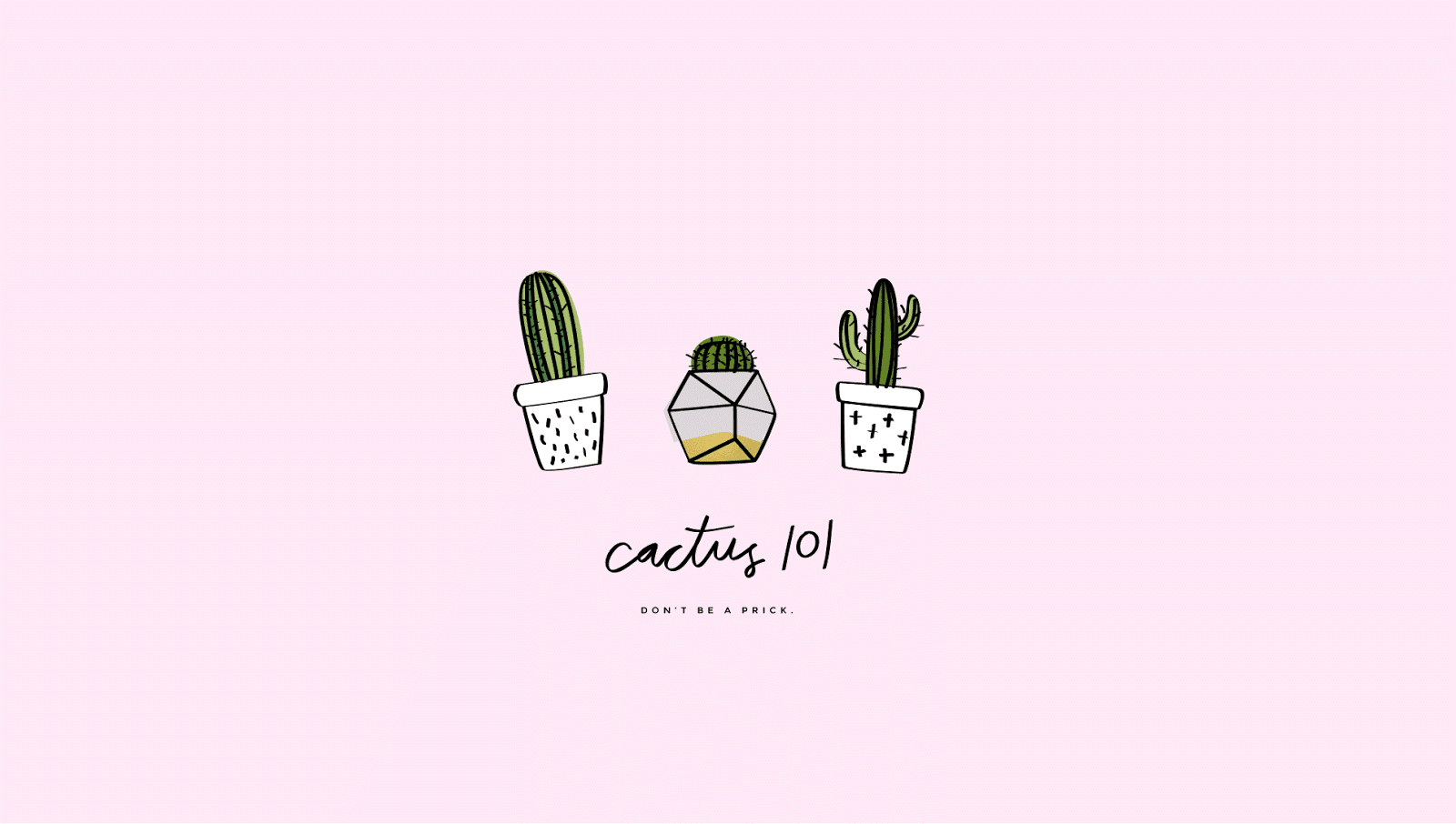 Cute Aesthetic CactusWallpapers