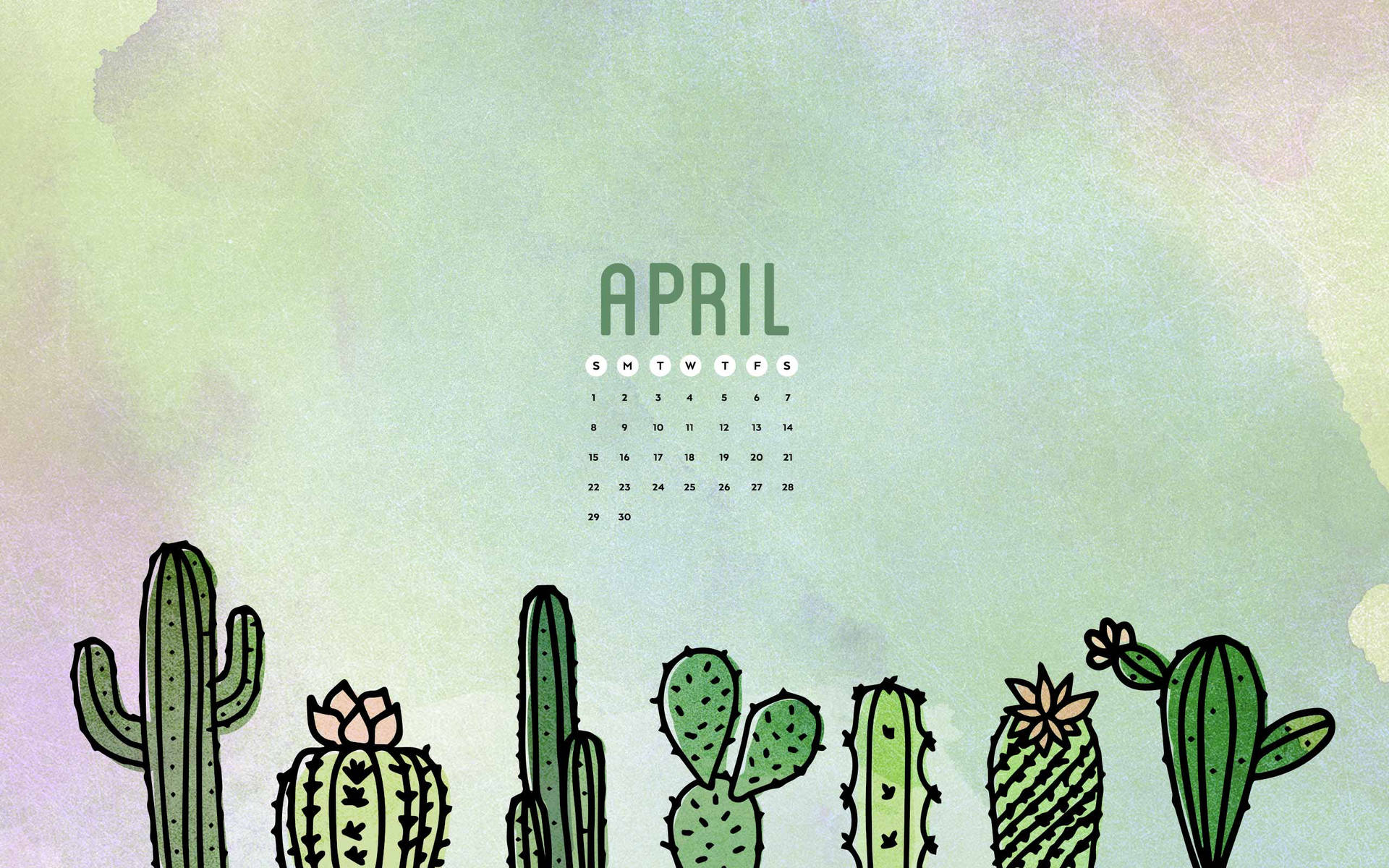 Cute Aesthetic CactusWallpapers