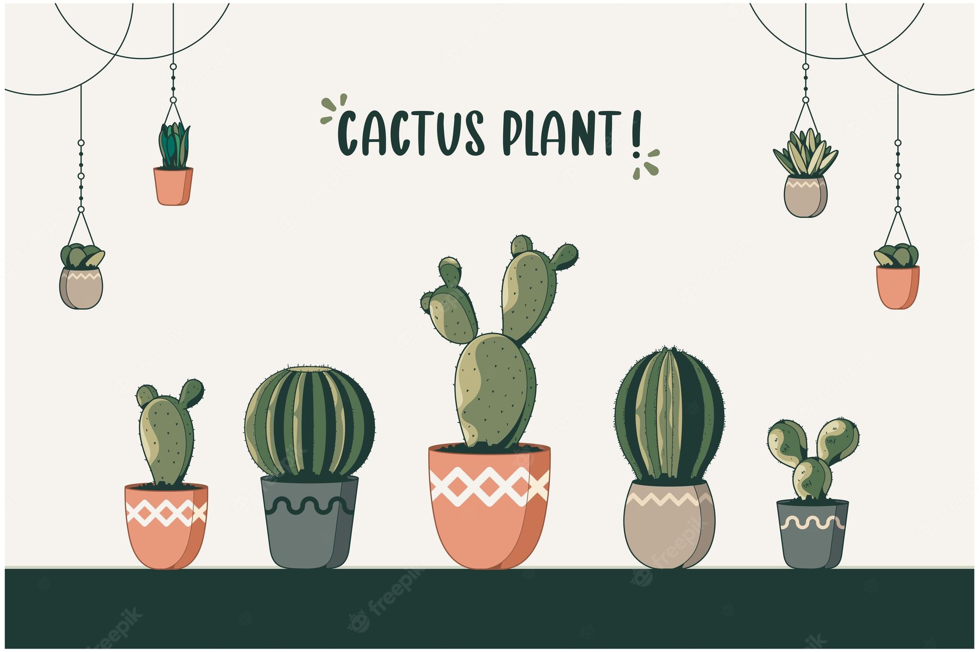 Cute Aesthetic CactusWallpapers