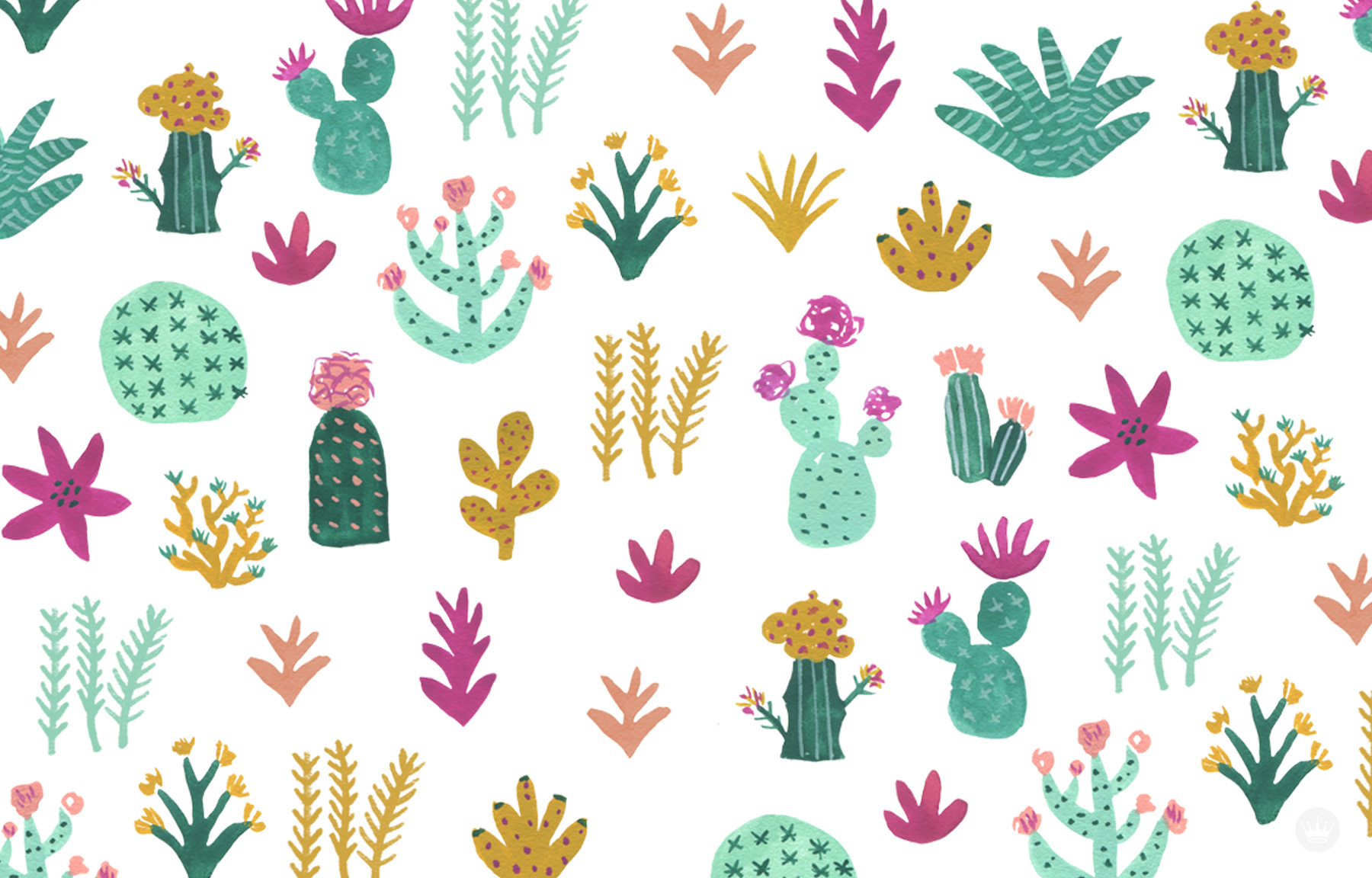 Cute Aesthetic CactusWallpapers