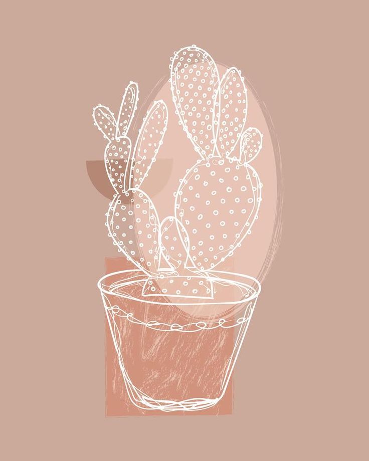 Cute Aesthetic CactusWallpapers