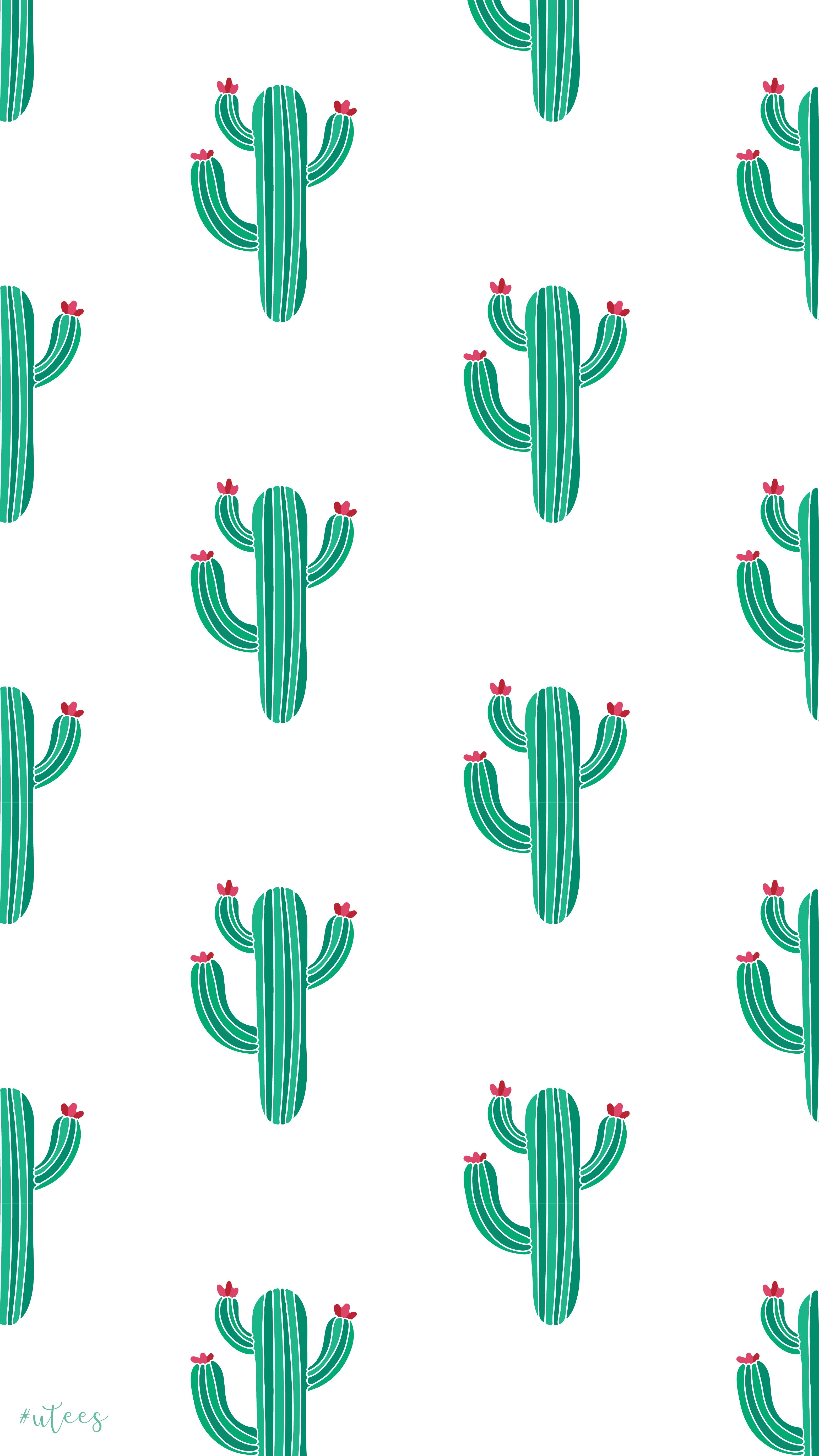 Cute Aesthetic CactusWallpapers