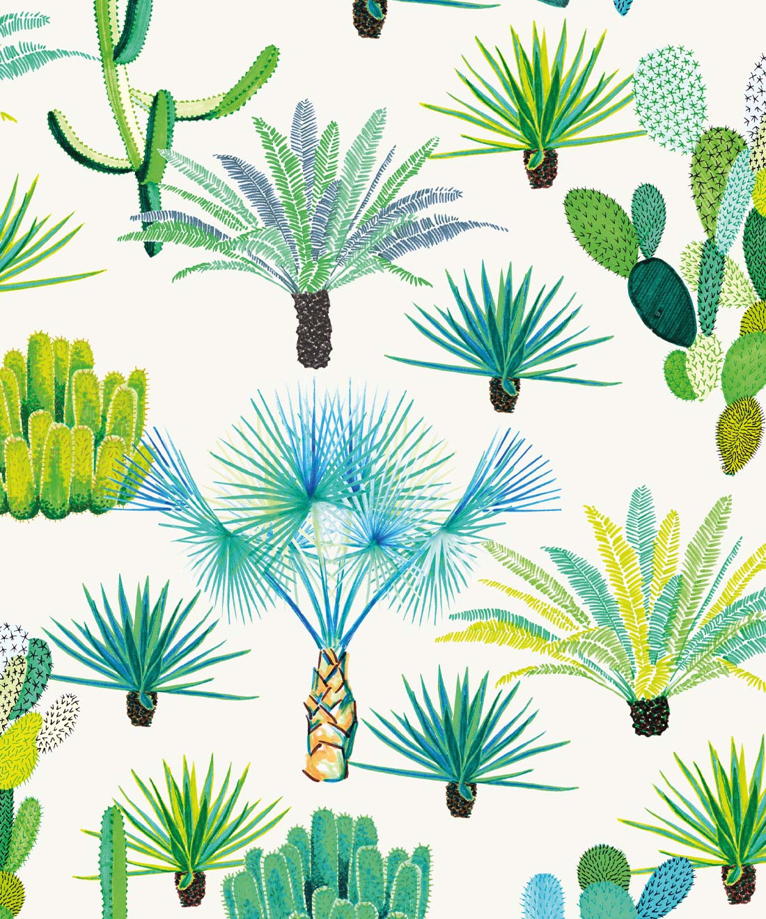 Cute Aesthetic CactusWallpapers