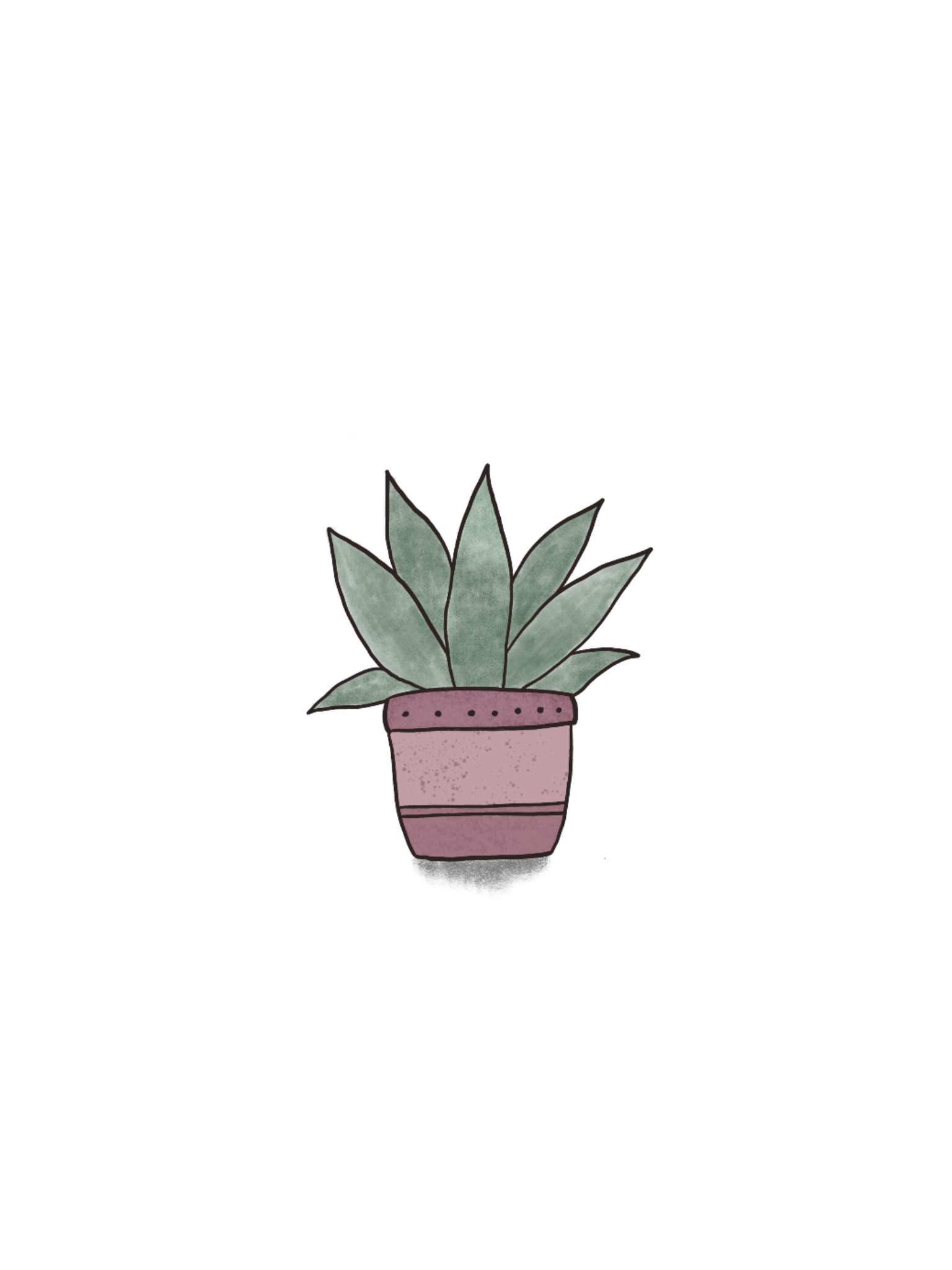 Cute Aesthetic CactusWallpapers