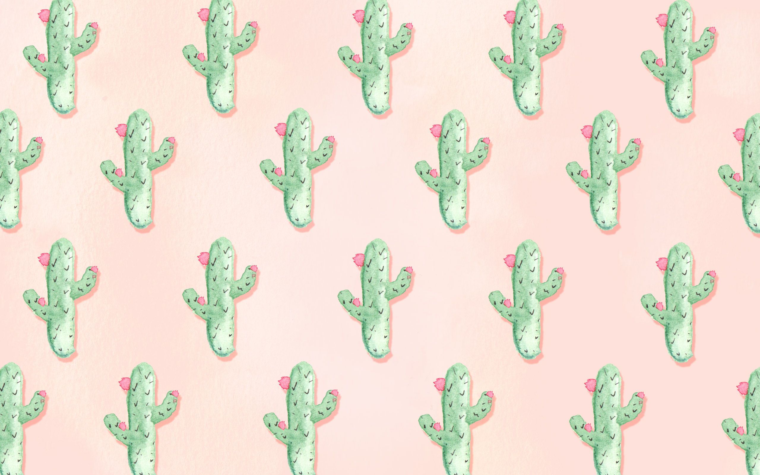 Cute Aesthetic CactusWallpapers