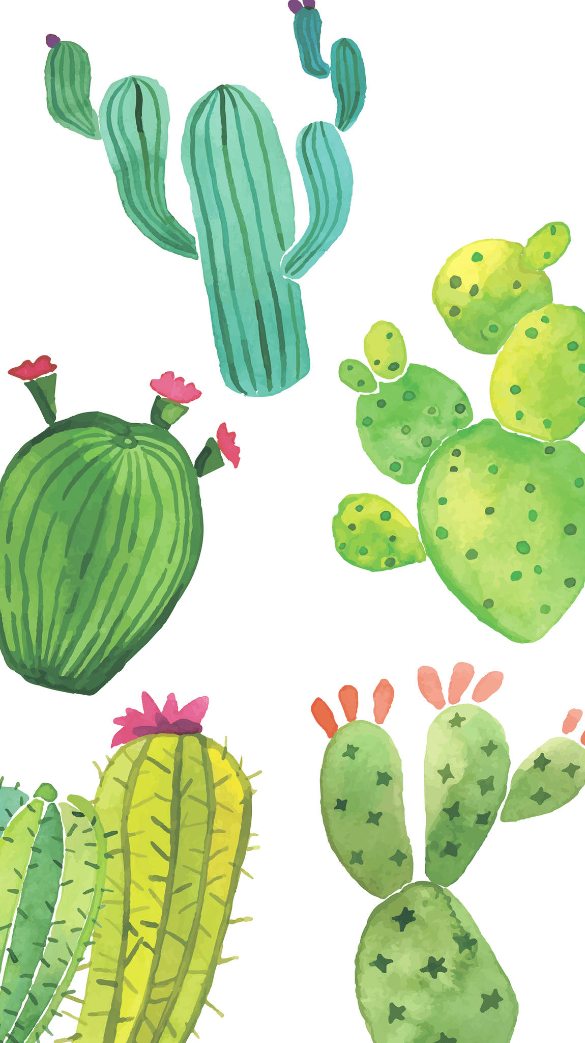 Cute Aesthetic CactusWallpapers