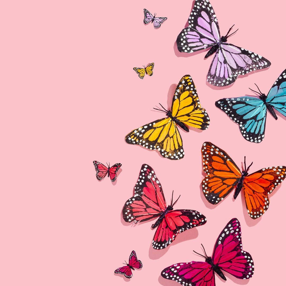 Cute Aesthetic Pink ButterflyWallpapers