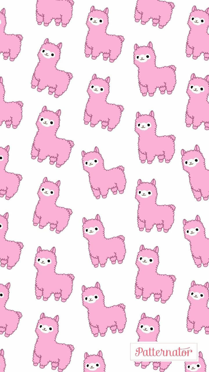 Cute Alpaca Wallpapers