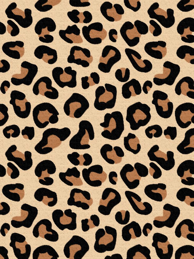 Cute Animal Print Wallpapers