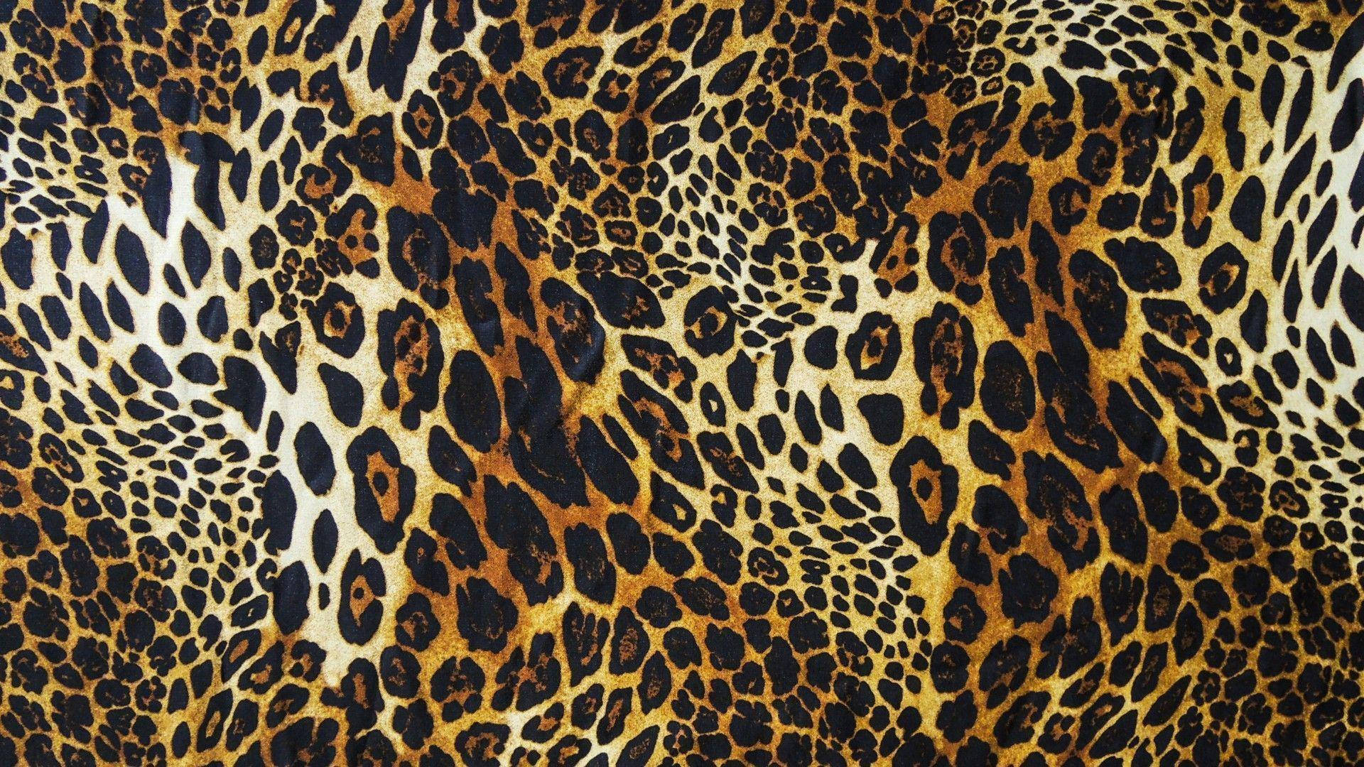 Cute Animal Print Wallpapers