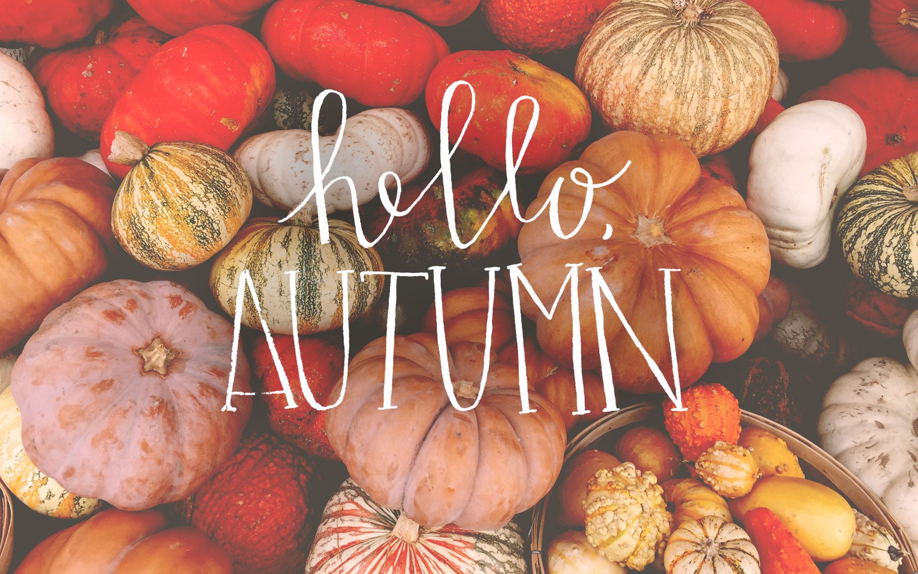 Cute Autumn MacbookWallpapers