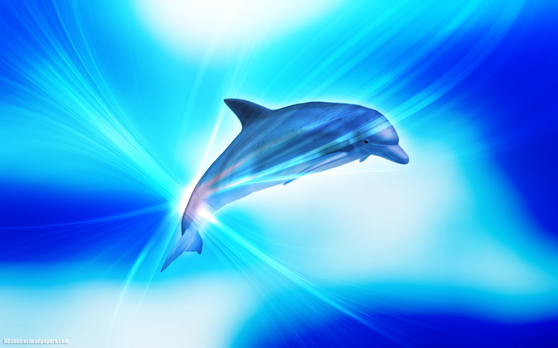 Cute Baby Dolphins Wallpapers