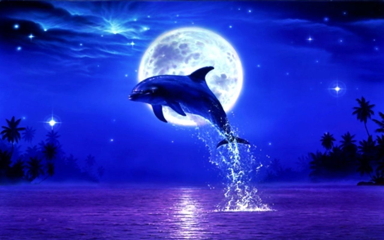 Cute Baby Dolphins Wallpapers