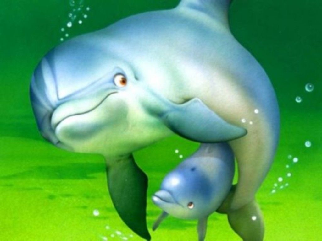 Cute Baby Dolphins Wallpapers