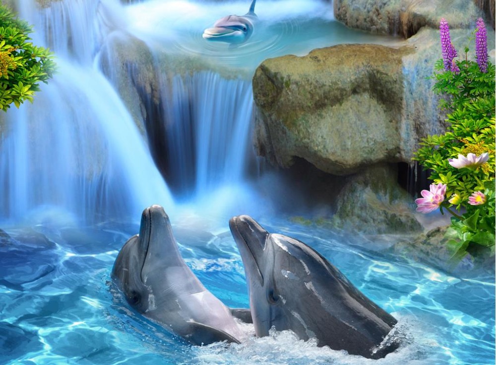 Cute Baby Dolphins Wallpapers