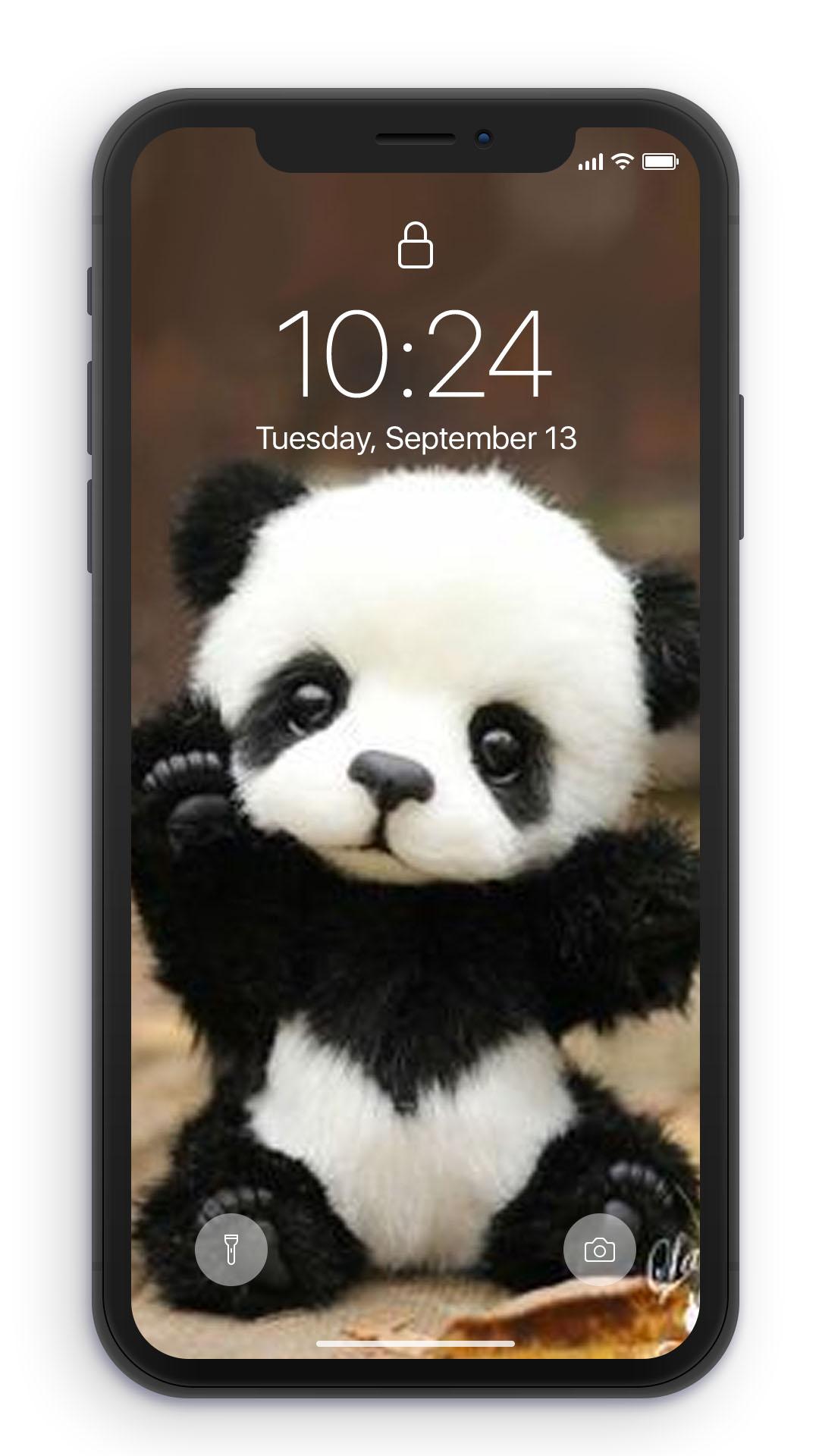 Cute Baby PandaWallpapers