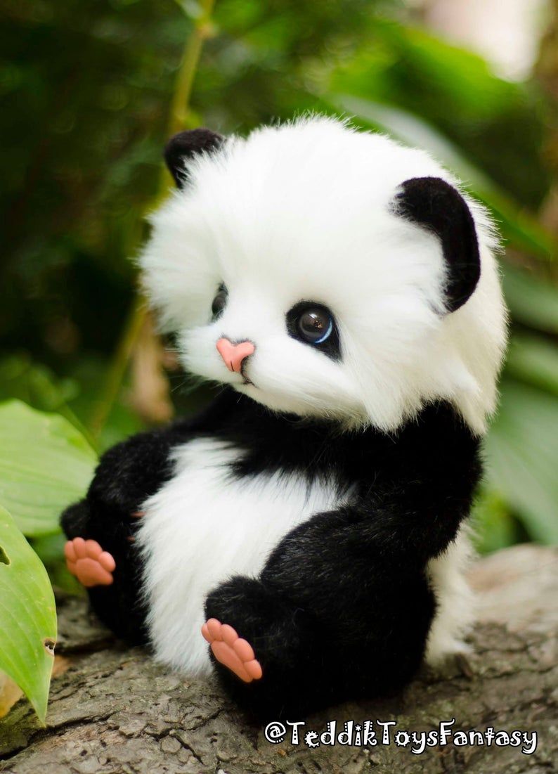 Cute Baby PandaWallpapers