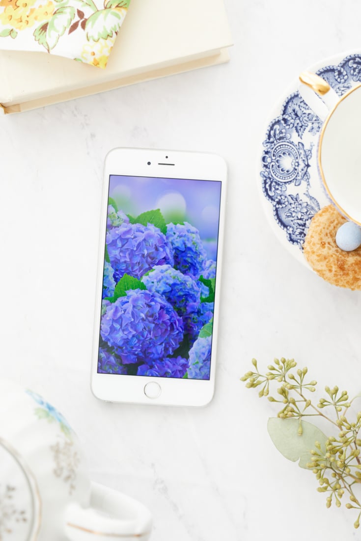 Cute Blue Iphone Wallpapers