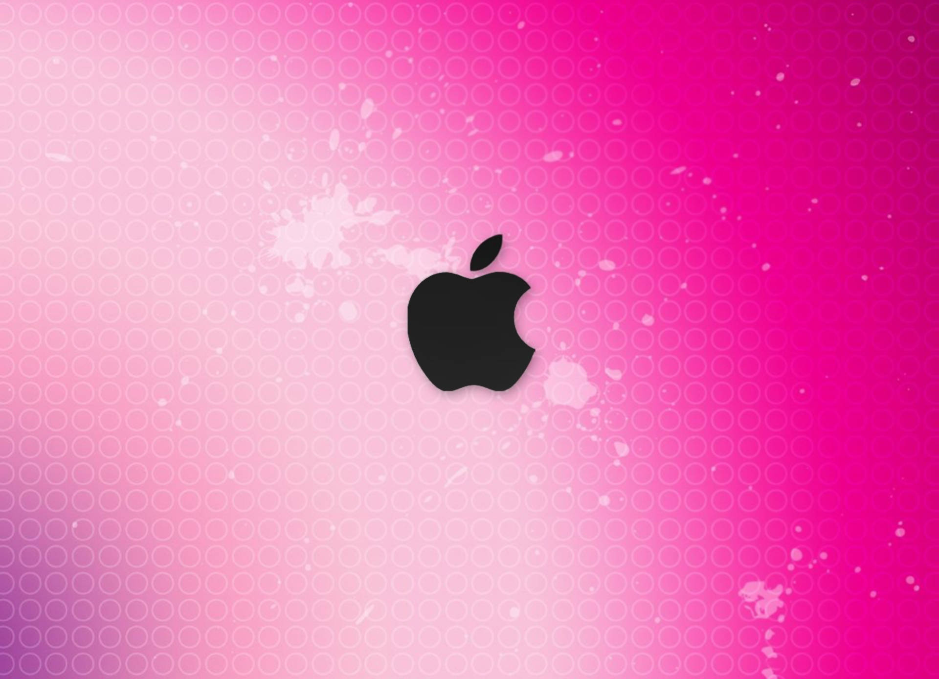 Cute BrandWallpapers