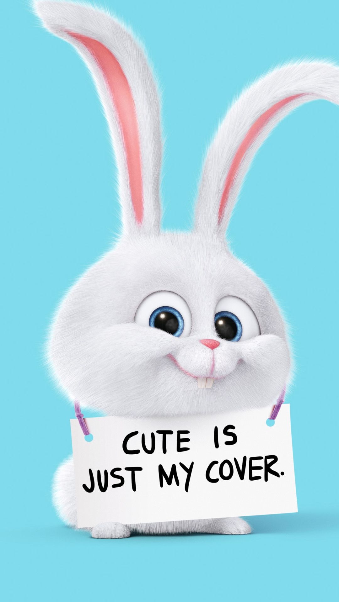 Cute Bunny Iphone Wallpapers