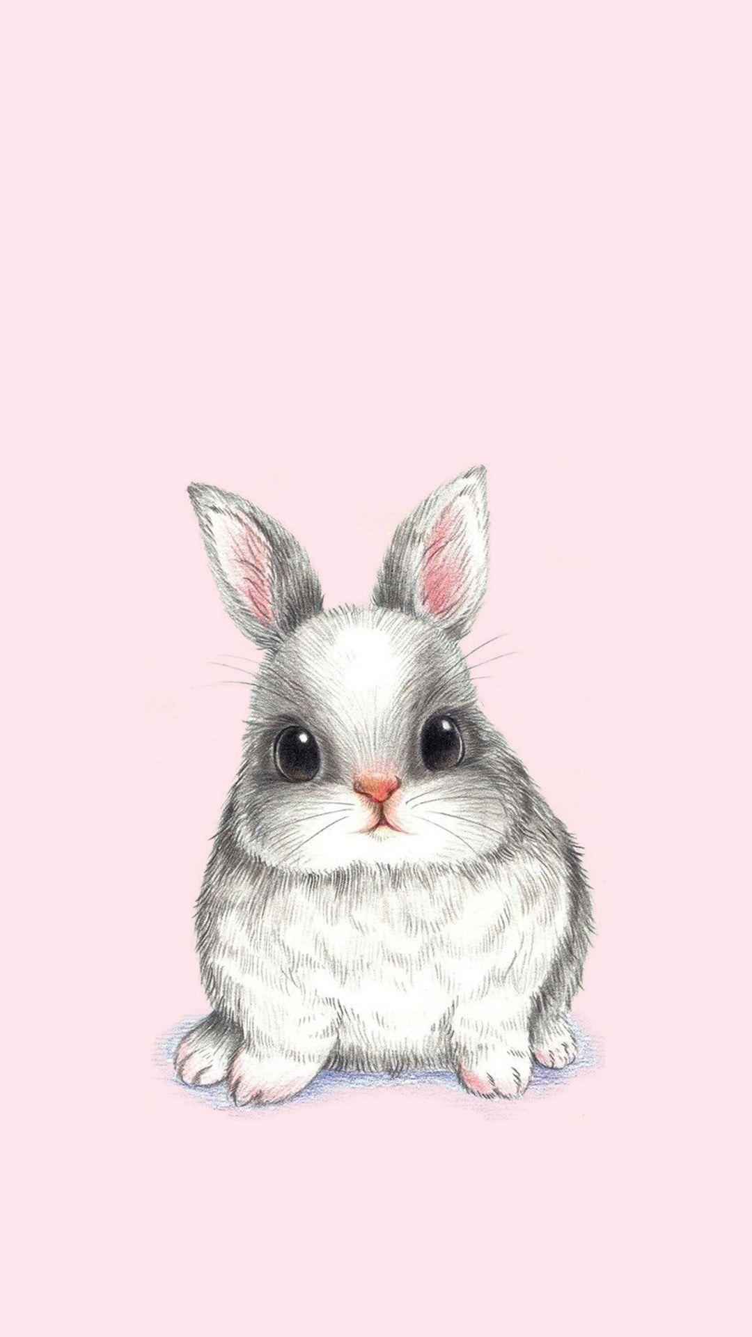 Cute Bunny Iphone Wallpapers