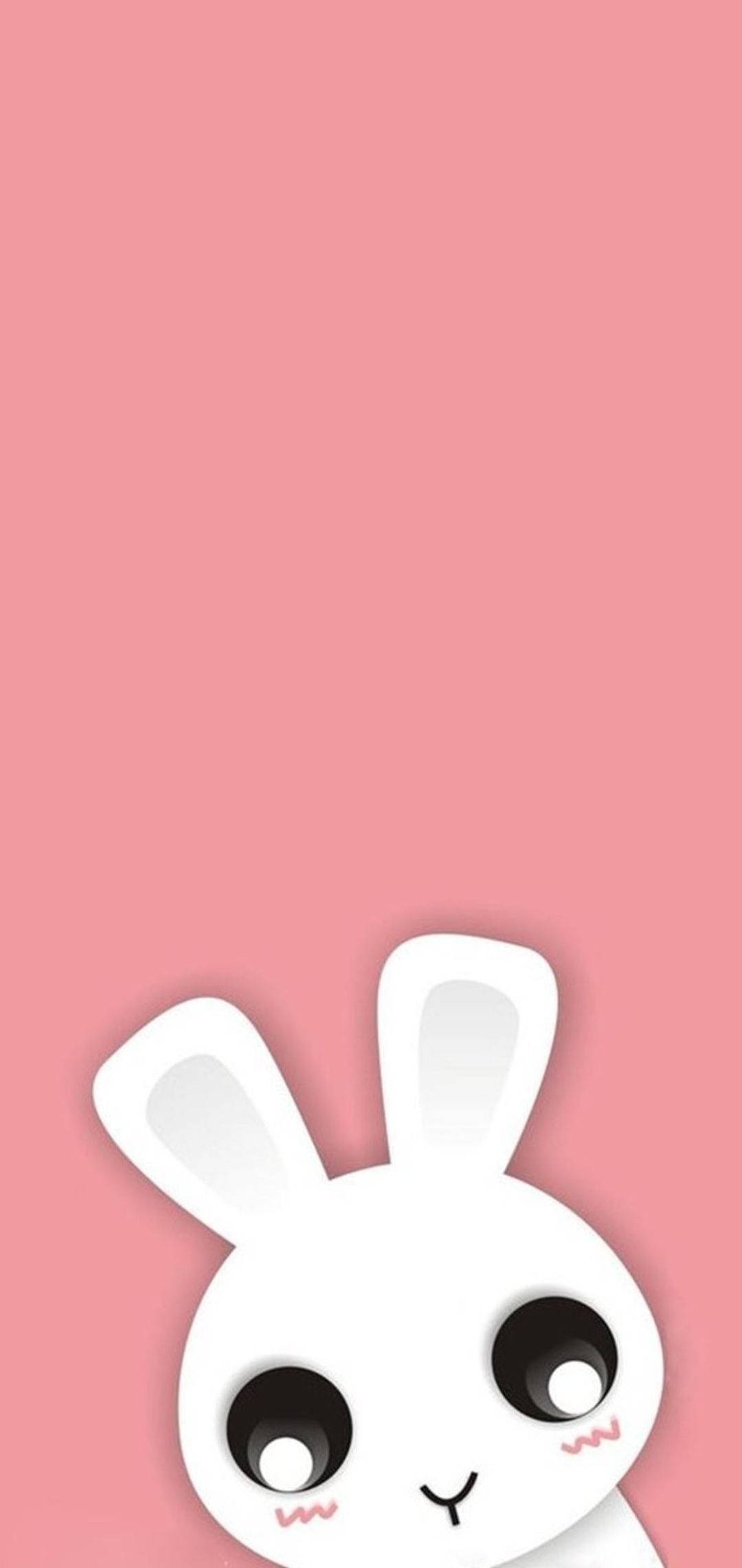 Cute Bunny Iphone Wallpapers