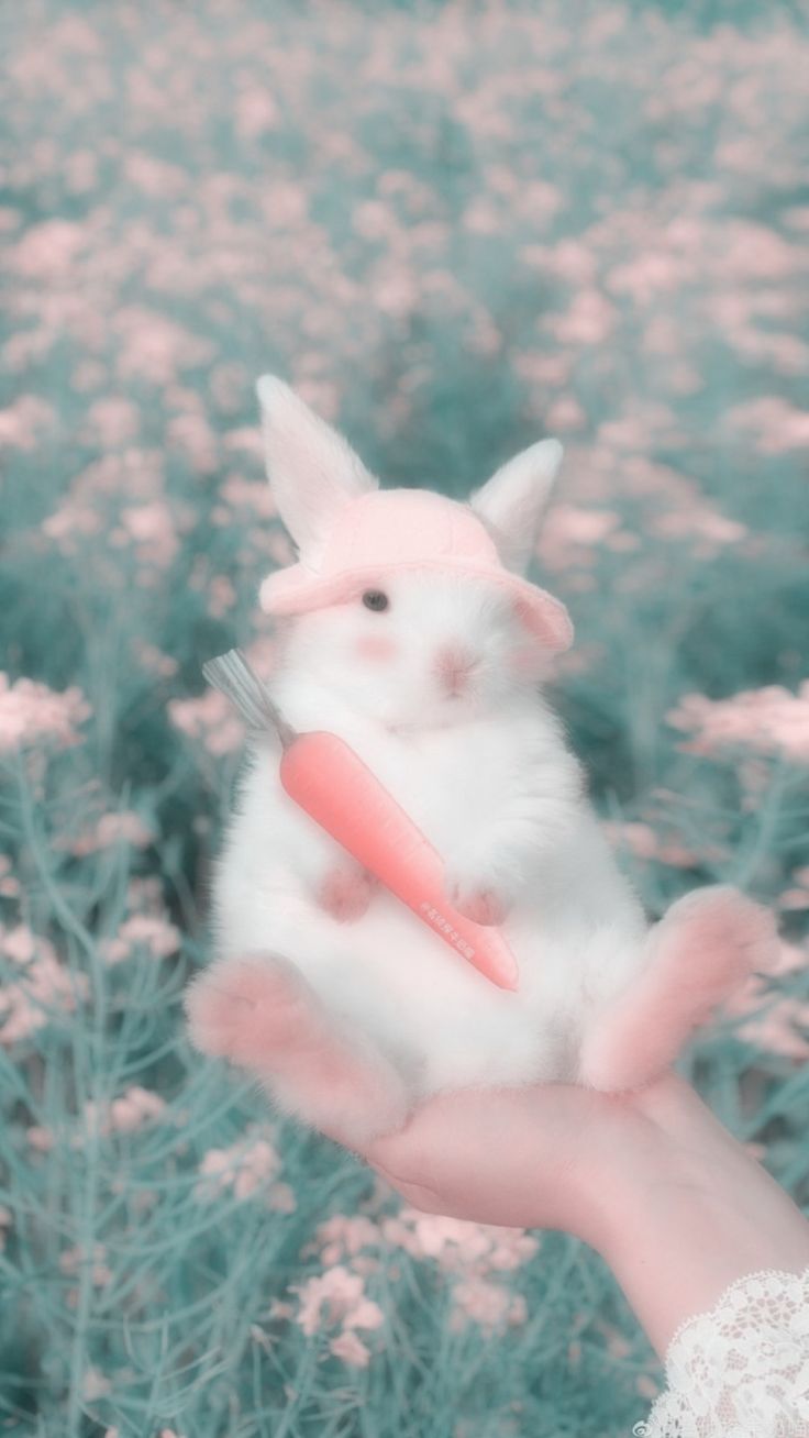 Cute Bunny Iphone Wallpapers