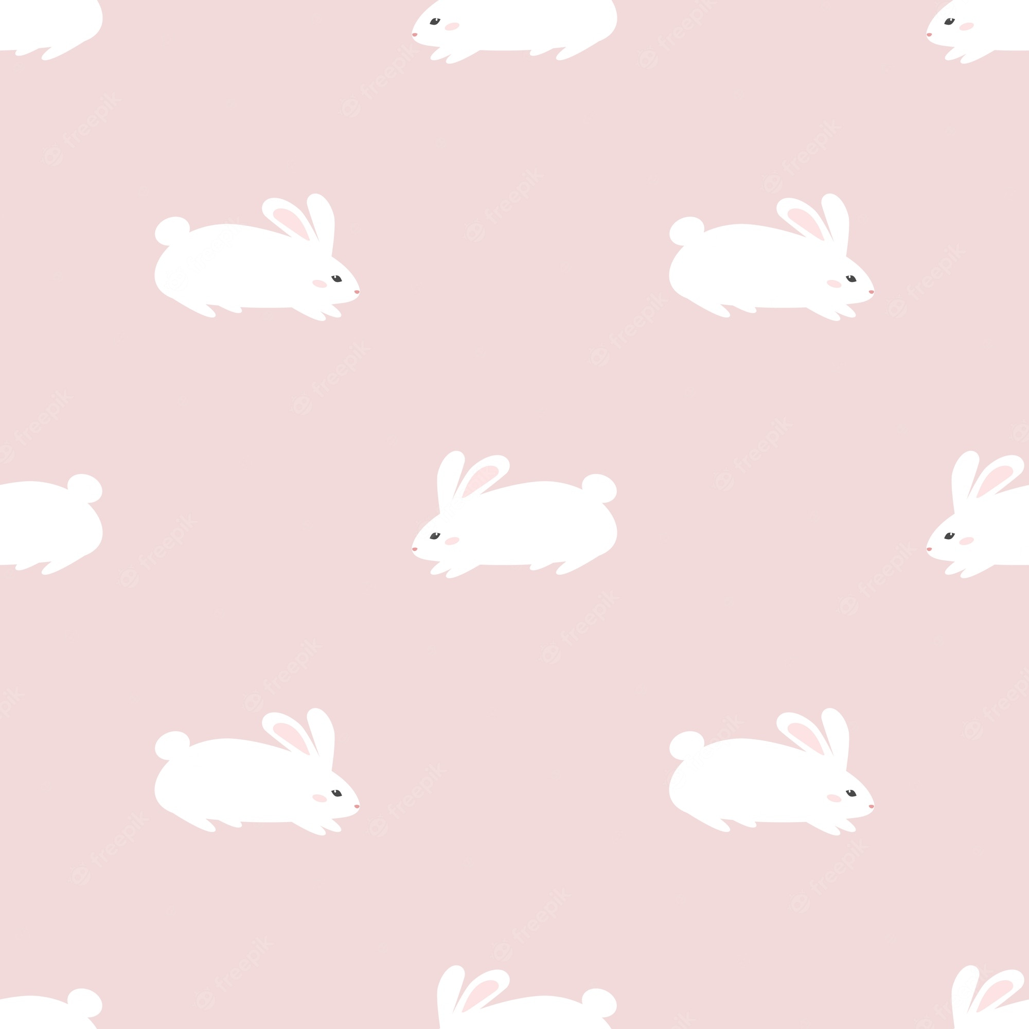 Cute Bunny Rabbits Wallpapers